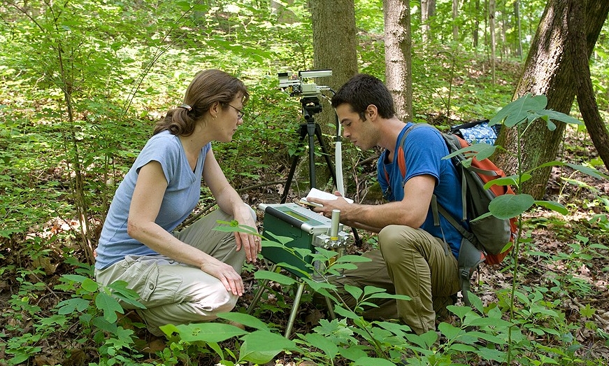 Field Station, Theresa Culley's students invarious locations. Eli Williams, a student in the Environmental Field Techniques course, is measuring instantaneous photosynthethetic rates of invasive honeysuckle with the Li-Cor 6400 infrared gas analyzer with Prof Theresa Culley.