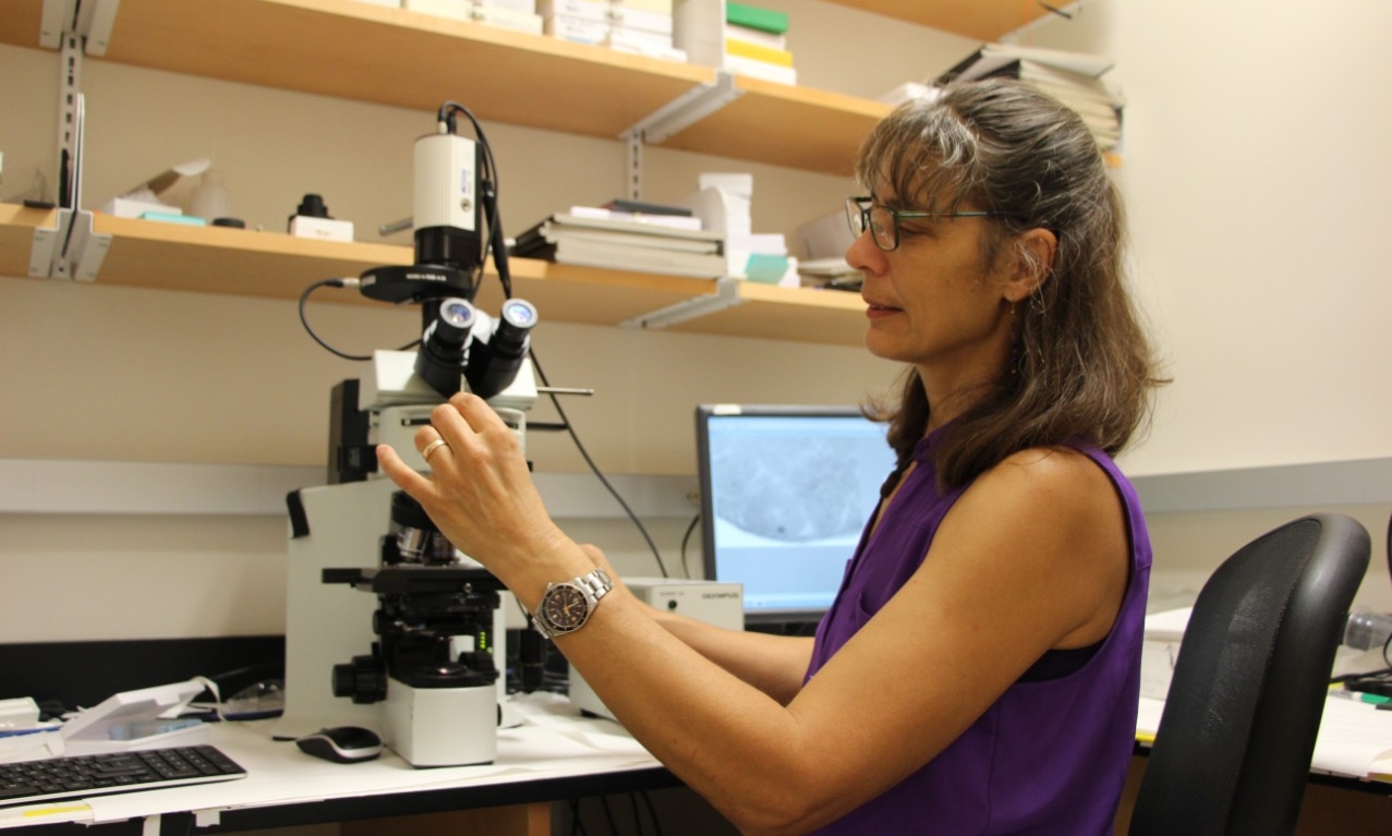Prof. Buschbeck in her lab