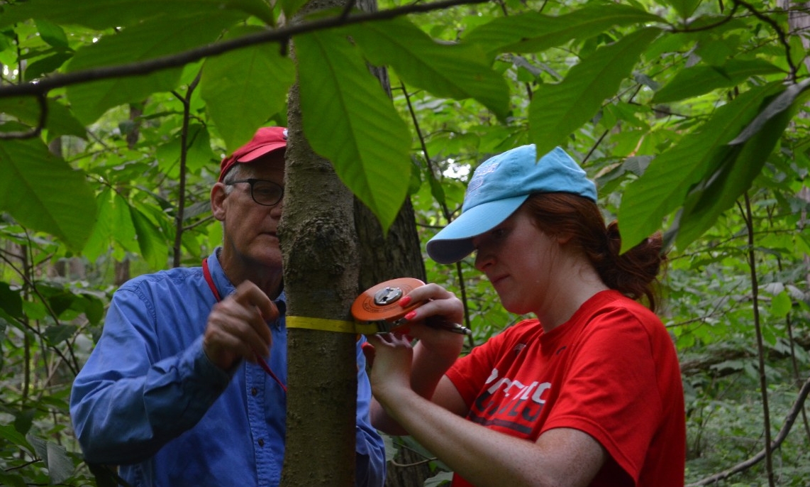 Prof. Lentz and a student measuring trees in the forest