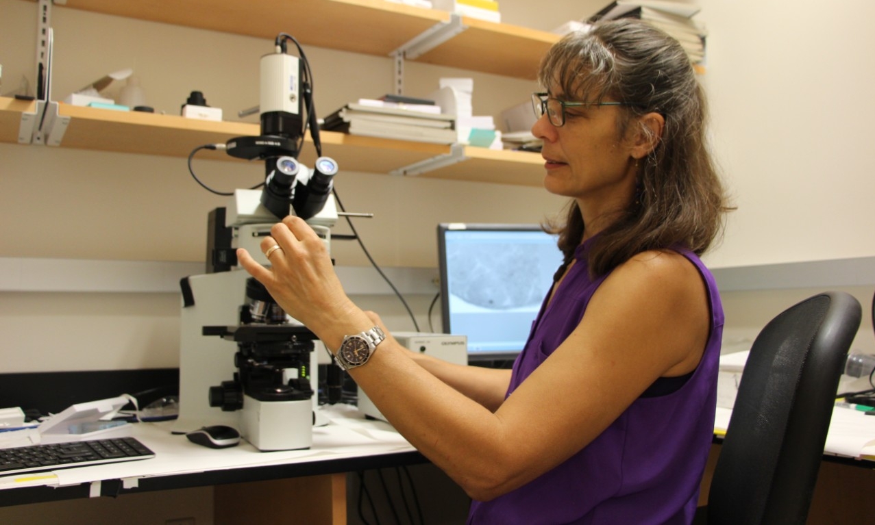 Prof. Buschbeck in her lab
