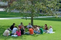 Group of students sitting on ground under a tree