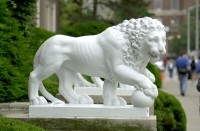 Photo of the white McMicken Lion