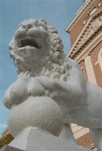 McMicken Lion
