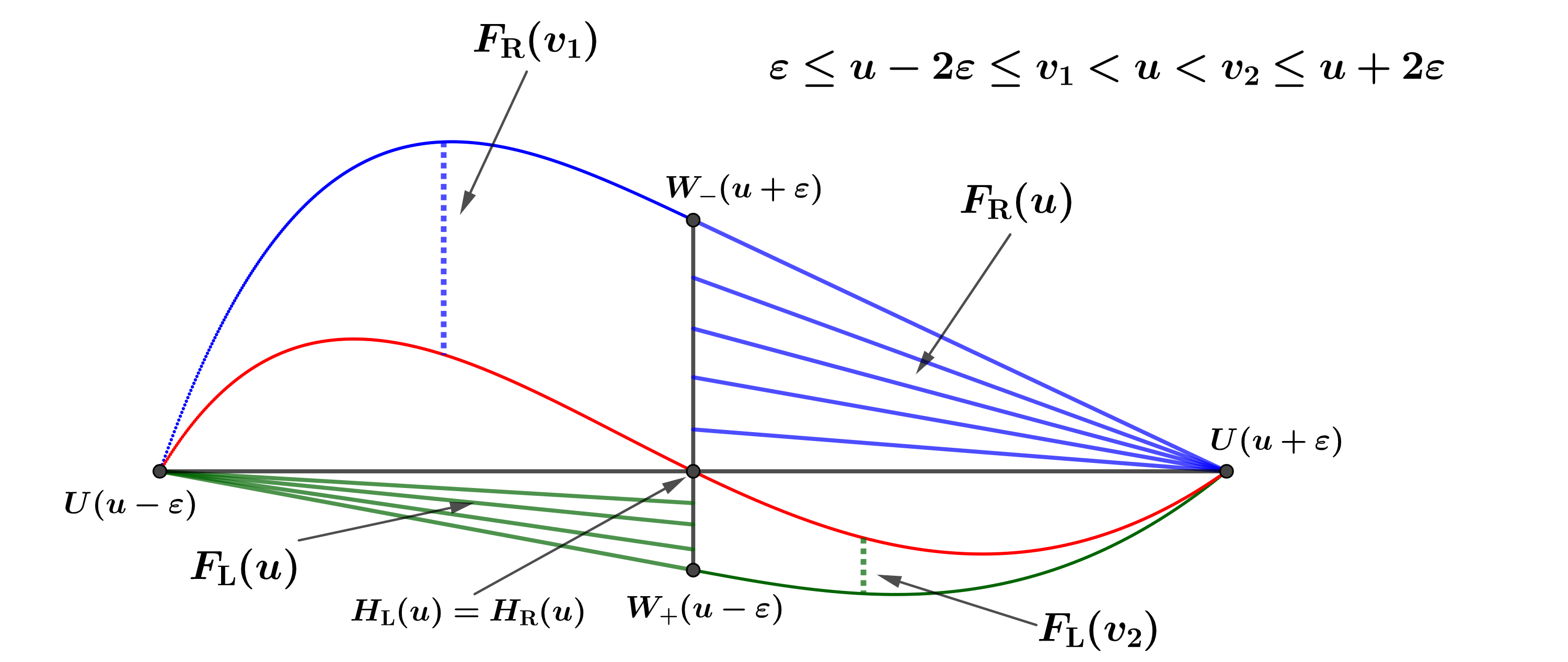 Computer simulations of swimming bacteria E. coli.