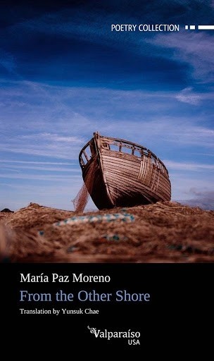 Image of book cover "From the Other Side."